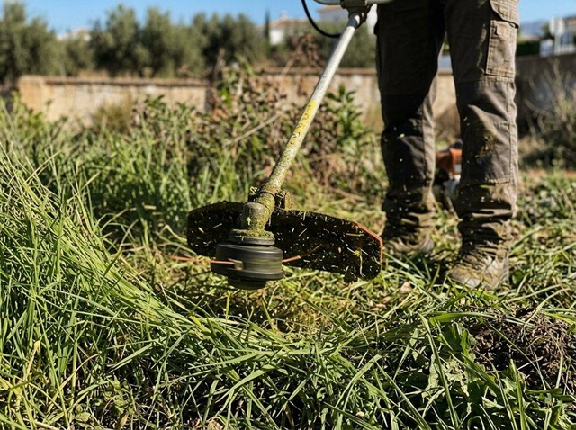 Deja tu parcela impecable con desbroces y limpieza de zonas verdes en Mijas - Imagen 1