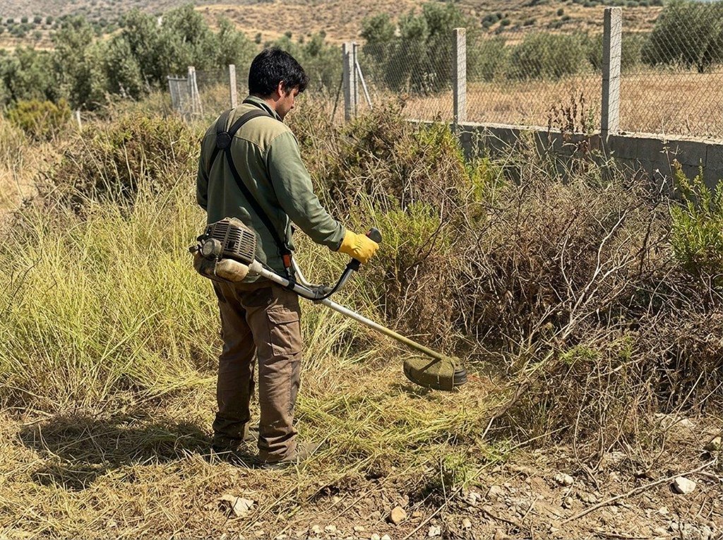 Foto 1 Deja tu parcela lista: desbroces y limpieza de fincas en Torremolinos