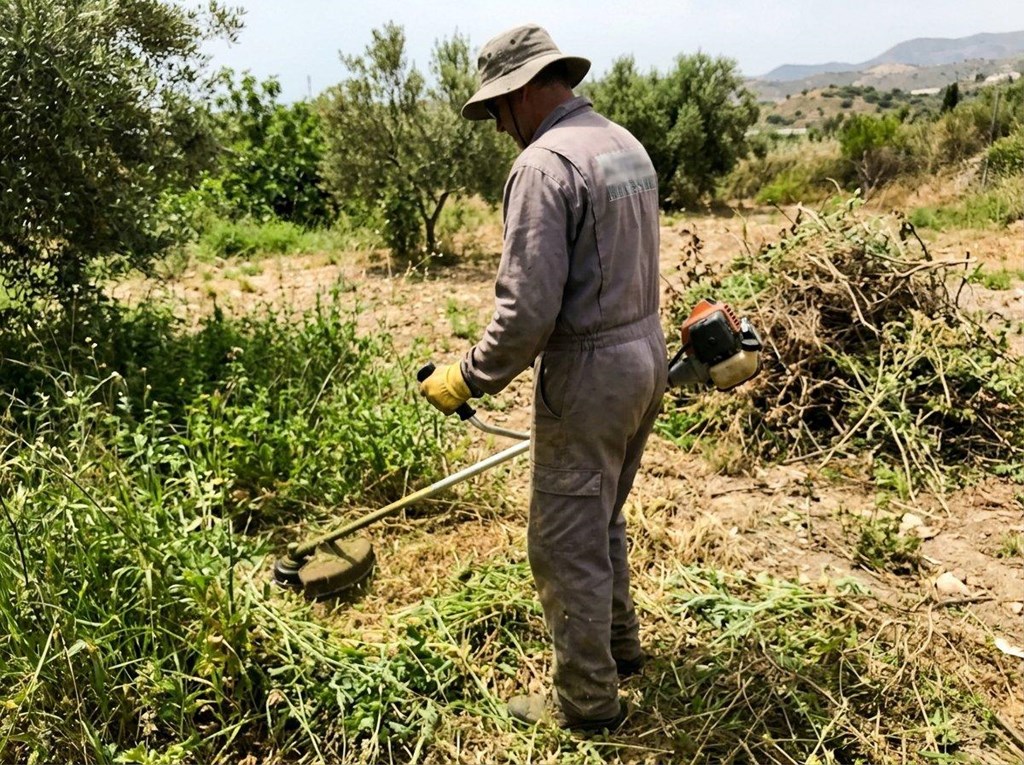 Foto 1 Deja tu terreno despejado con nuestro desbroce y limpieza de parcelas en Nerja